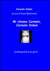 Foto non disponibile