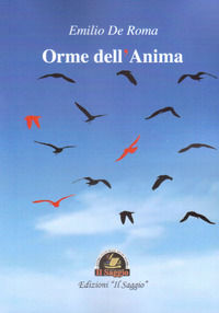 9788893603508 - Orme dell'anima