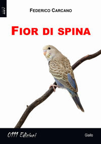 Foto non disponibile
