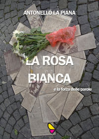 Foto non disponibile