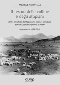 9788894671971 - Il tesoro delle colline e degli altipiani. 300 e più storie dall'Appennino sabino-abruzzese, perché i giovani imparino a