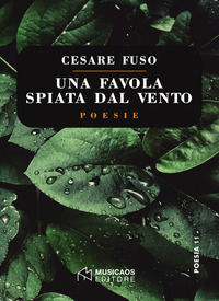 Foto non disponibile