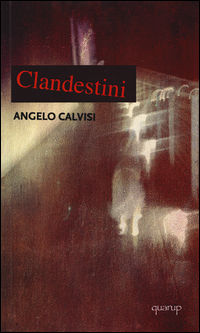 9788895166384 - Clandestini