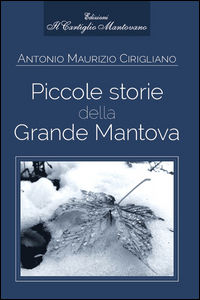 9788895354309 - Piccole storie della grande Mantova