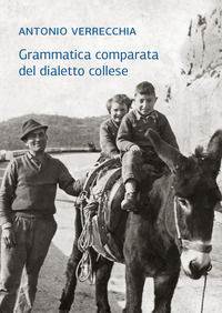 Foto non disponibile