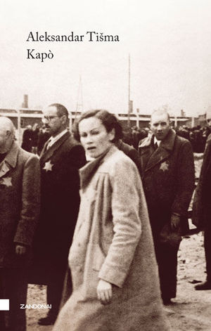 Foto non disponibile