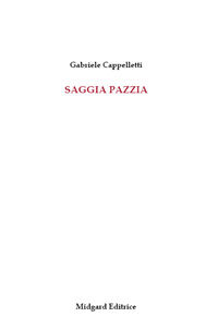 9788895708225 - Saggia pazzia