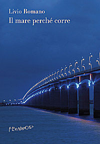 9788895865447 - Il mare perché corre