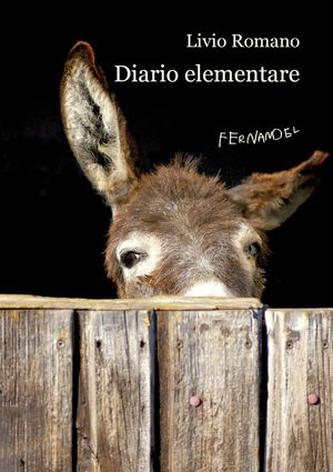9788895865706 - Diario elementare