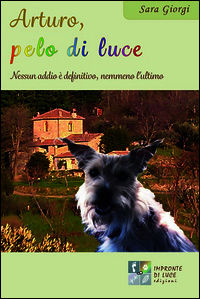 Foto non disponibile