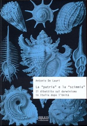Foto non disponibile