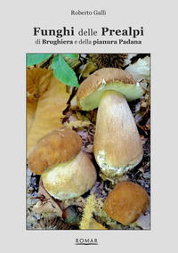 9788896182161 - Funghi delle Prealpi, di Brughiera e della pianura Padana