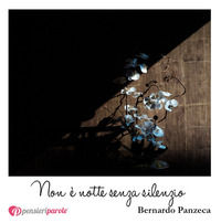 9788896472774 - Non è notte senza silenzio