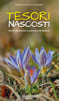 Foto non disponibile