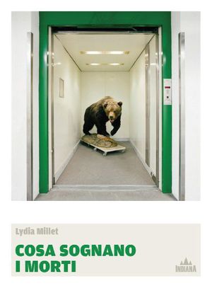 Foto non disponibile