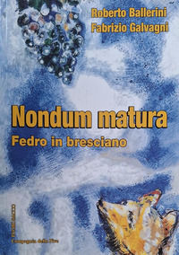 Foto non disponibile