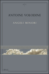 9788898038831 - Angeli minori