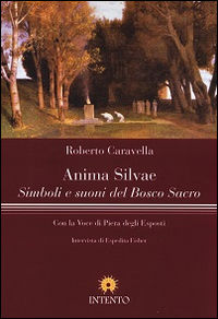 9788898047567 - Anima silvae. Simboli e suoni del bosco sacro