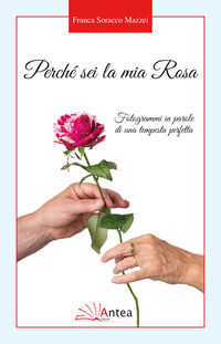 Foto non disponibile