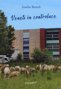 9788898605842 - Veneti in controluce