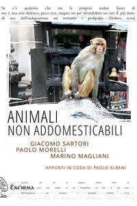 Foto non disponibile