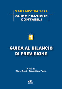 9788899083717 - Guida al bilancio di previsione. Vademecum 2019. Vol. 1