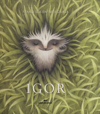 9788899136352 - Igor. Ediz. a colori