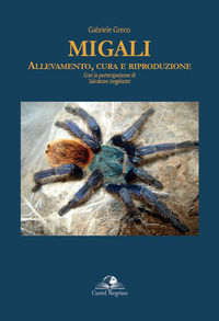 Foto non disponibile