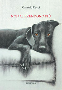 9788899852290 - Non ci prendono più