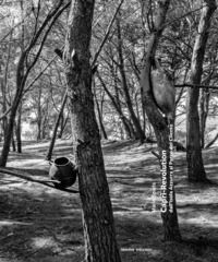 9788899928483 - Capri-Revolution. Dall'Isola Azzurra al Parco del Cilento