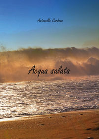 9791220300353 - Acqua salata