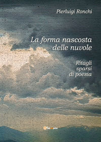9791220310505 - La forma nascosta delle nuvole