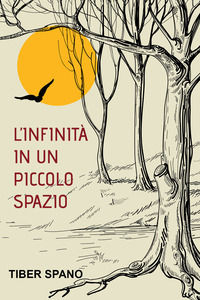 9791220333245 - L'infinità in un piccolo spazio