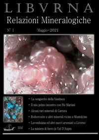 9791220336482 - Relazioni mineralogiche. Libvrna. Vol. 1