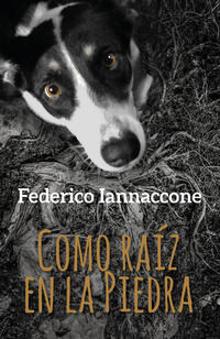 9791220351010 - Como raíz en la piedra