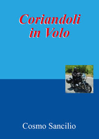 9791220358729 - Coriandoli in volo