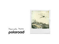 9791221050073 - Polaroad