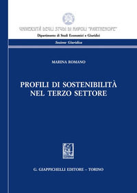 9791221106541 - Profili di sostenibilità nel terzo settore