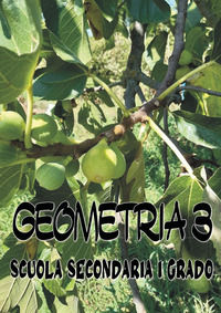 9791222702537 - Geometria 3. Scuola secondaria di I grado