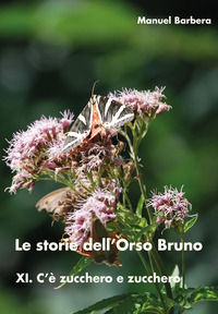 Foto non disponibile