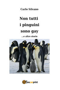 Foto non disponibile