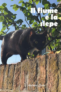 9791222767161 - Il iume e la siepe