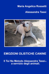 Foto non disponibile