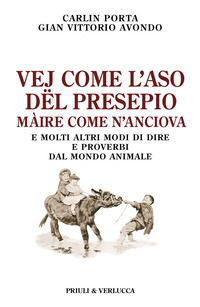 Foto non disponibile