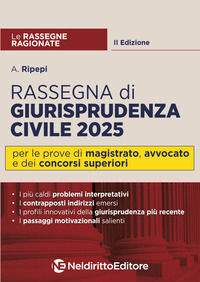 9791254708453 - Rassegna ragionata di diritto civile 2025