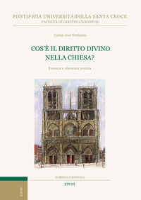 9791254824115 - Cos'è il diritto divino nella Chiesa? Essenza e rilevanza pratica