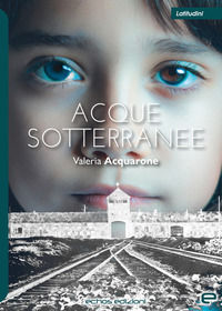 9791255251156 - Acque sotterranee
