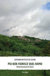 Foto non disponibile