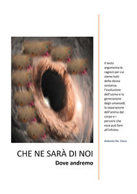 Foto non disponibile