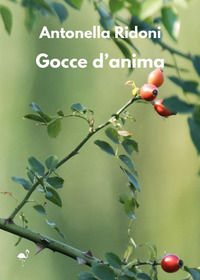 9791257060183 - Gocce d'anima